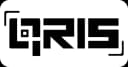 QRIS